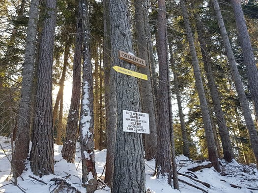Reither Spitze 2.374 m (Wanderung) Reither Spitze 32