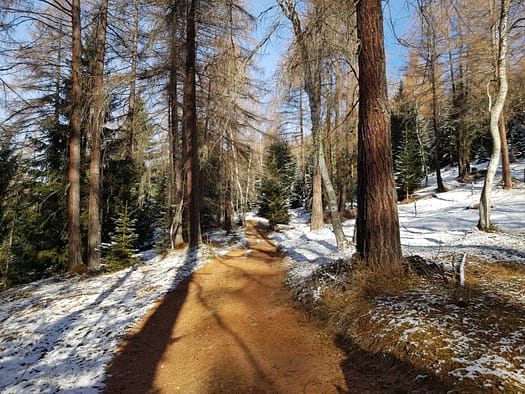 Reither Spitze 2.374 m (Wanderung) Reither Spitze 33
