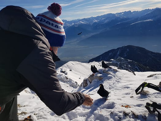 Reither Spitze 2.374 m (Wanderung) Reither Spitze 9