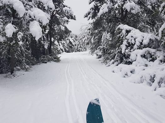 Alpjoch 2.023 m (Skitour) Alpjoch Hoch Imst 12