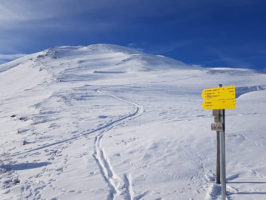 Gaishörndl 2.615 m (Skitour) Gaishoerndl 20
