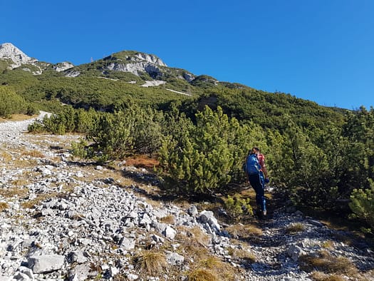 Hochnissl 2.547 m (Wanderung) Hochnissl 15