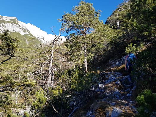 Hochnissl 2.547 m (Wanderung) Hochnissl 16