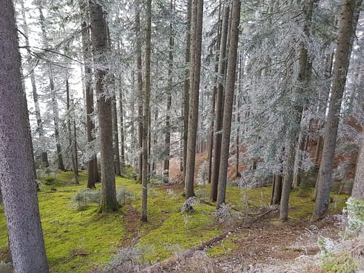 Unnütz Überschreitung 2.075 m (Wanderung) Unnuetz Ueberschreitung 2