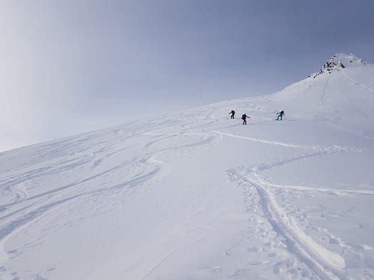 Vorderer Grieskogel 2.671 m (Skitour) Vorderer Grieskogel 15