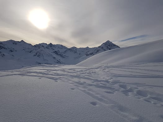 Vorderer Grieskogel 2.671 m (Skitour) Vorderer Grieskogel 24