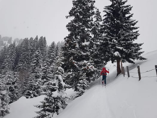 Eggalm Bergstation 2.005 m (Skitour) Eggalm Skitour 3