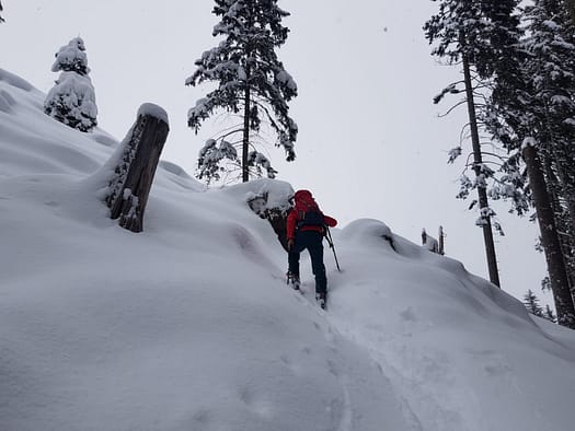 Eggalm Bergstation 2.005 m (Skitour) Eggalm Skitour 7