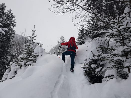 Eggalm Bergstation 2.005 m (Skitour) Eggalm Skitour 8