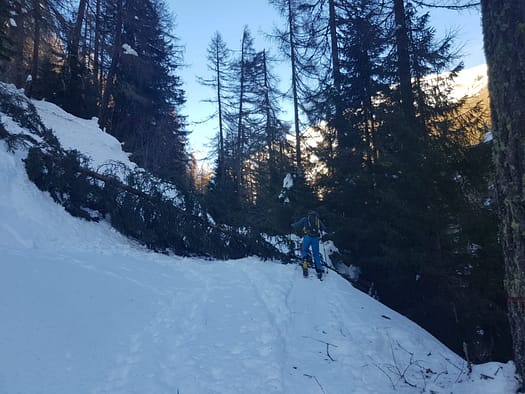 Kreuzspitze 2.624 m (Skitour) Kreuzspitze Skitour 16