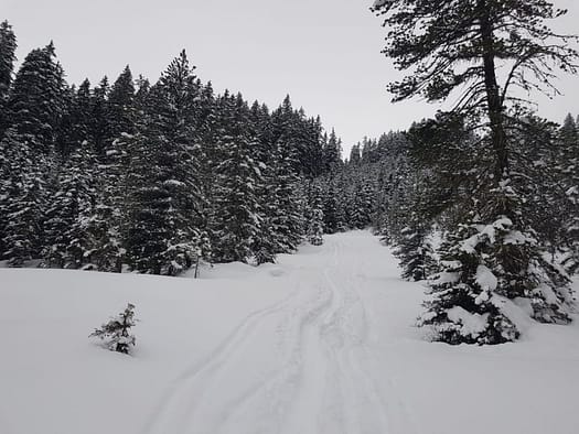 Fotschertal (Skitour) Fotschertal Skitour 12