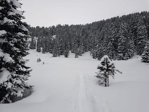 Fotschertal (Skitour) Fotschertal Skitour 13