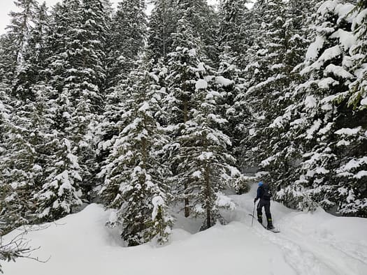 Fotschertal (Skitour) Fotschertal Skitour 2