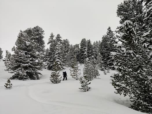 Fotschertal (Skitour) Fotschertal Skitour 4