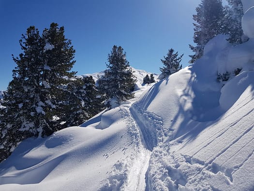 Gilfert 2.506 m (Skitour) Gilfert Skitour 25