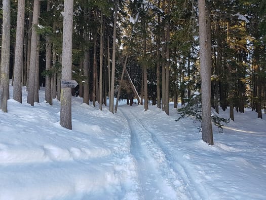 Gilfert 2.506 m (Skitour) Gilfert Skitour 28