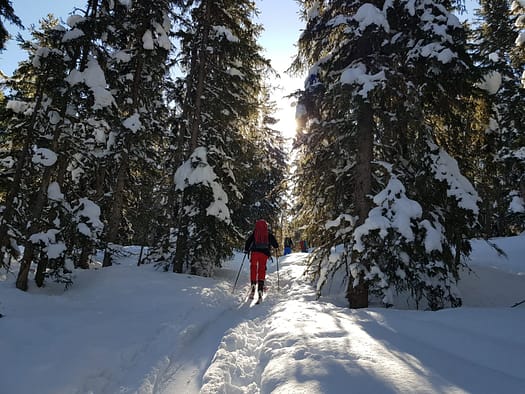 Gilfert 2.506 m (Skitour) Gilfert Skitour 30