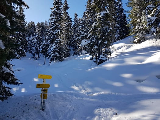 Gilfert 2.506 m (Skitour) Gilfert Skitour 31