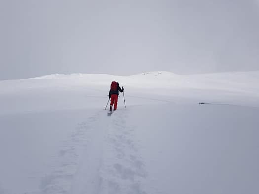 Hirzer 2.725 m (Skitour) Hirzer Skitour 14