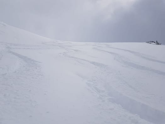 Hirzer 2.725 m (Skitour) Hirzer Skitour 17