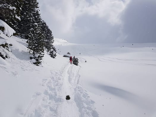 Hirzer 2.725 m (Skitour) Hirzer Skitour 18