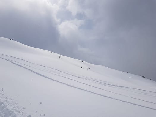 Hirzer 2.725 m (Skitour) Hirzer Skitour 19