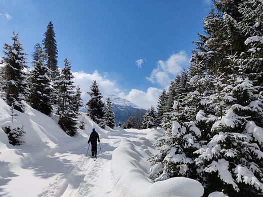 Hirzer 2.725 m (Skitour) Hirzer Skitour 2