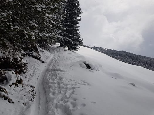 Hirzer 2.725 m (Skitour) Hirzer Skitour 21