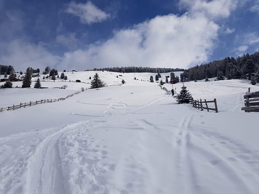 Hirzer 2.725 m (Skitour) Hirzer Skitour 23