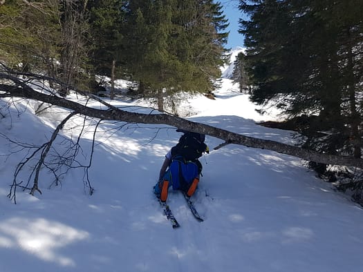 Greizer Hütte 2.227 m (Skitour) 20210423 151033