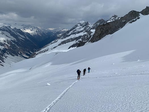 Großer Löffler 3.379 m & Trippachspitze 3.271 m (Skitour) Grosser Loeffler 3.379 m Trippachspitze 3.271 m Skitour 11
