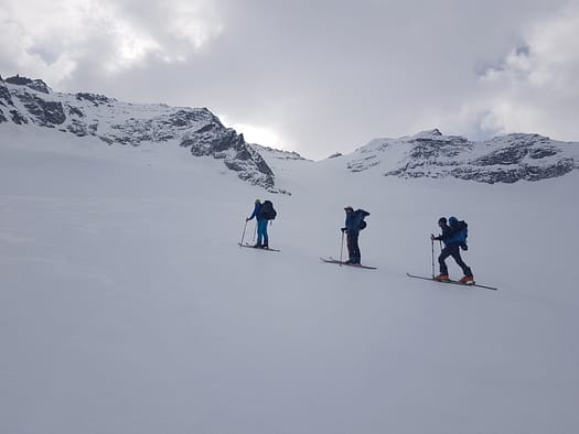 Großer Löffler 3.379 m & Trippachspitze 3.271 m (Skitour) Grosser Loeffler 3.379 m Trippachspitze 3.271 m Skitour 2