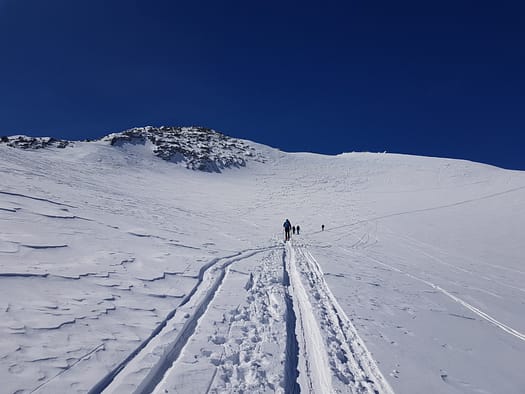 Schwarzenstein 3.369 m & Felsköpfl 3.235 m (Skitour) Schwarzenstein Felskoepfl Skitour 10