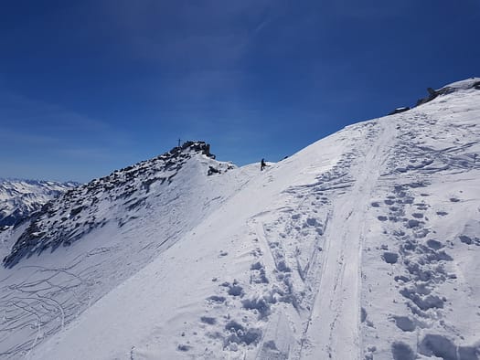 Schwarzenstein 3.369 m & Felsköpfl 3.235 m (Skitour) Schwarzenstein Felskoepfl Skitour 11