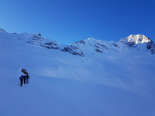 Schwarzenstein 3.369 m & Felsköpfl 3.235 m (Skitour) Schwarzenstein Felskoepfl Skitour 3