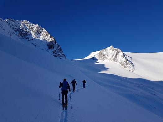 Schwarzenstein 3.369 m & Felsköpfl 3.235 m (Skitour) Schwarzenstein Felskoepfl Skitour 4