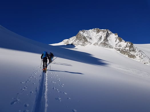 Schwarzenstein 3.369 m & Felsköpfl 3.235 m (Skitour) Schwarzenstein Felskoepfl Skitour 5