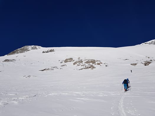 Schwarzenstein 3.369 m & Felsköpfl 3.235 m (Skitour) Schwarzenstein Felskoepfl Skitour 7