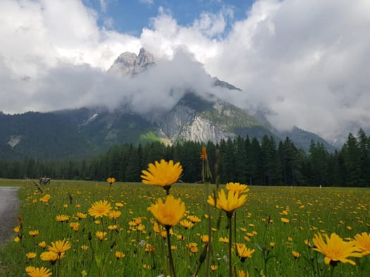 Gehrenspitze 2.367 m (Wanderung) Gehrenspitze 2.367 m Wanderung 1