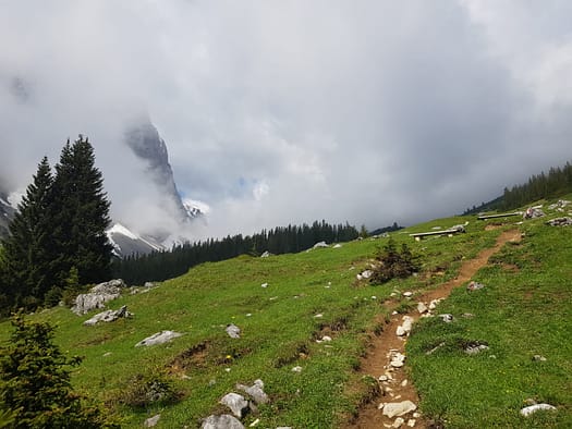 Gehrenspitze 2.367 m (Wanderung) Gehrenspitze 2.367 m Wanderung 24