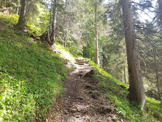 Gehrenspitze 2.367 m (Wanderung) Gehrenspitze 2.367 m Wanderung 25