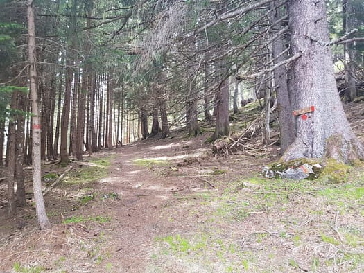 Haller Zunterkopf 1.966 m & Thaurer Zunterkopf 1.918 m (Wanderung) Haller Zunterkopf 1.966 m Thaurer Zunterkopf 1.918 m Wanderung 15