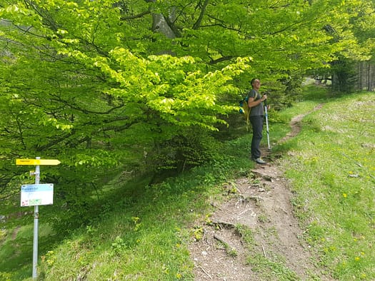 Haller Zunterkopf 1.966 m & Thaurer Zunterkopf 1.918 m (Wanderung) Haller Zunterkopf 1.966 m Thaurer Zunterkopf 1.918 m Wanderung 16