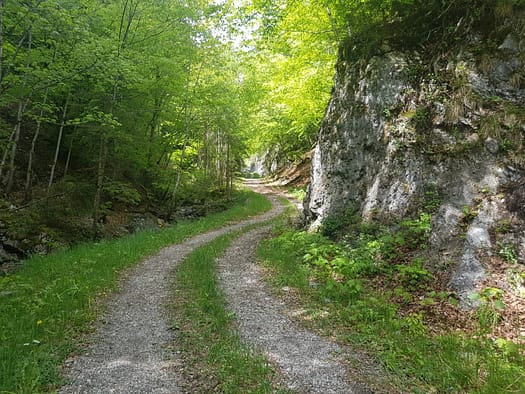 Haller Zunterkopf 1.966 m & Thaurer Zunterkopf 1.918 m (Wanderung) Haller Zunterkopf 1.966 m Thaurer Zunterkopf 1.918 m Wanderung 19
