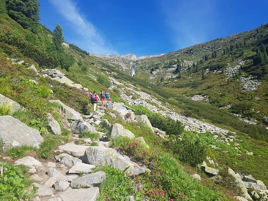 Olperer 3.476 m (Bergtour) Olperer 3.476 m Hochtour 16