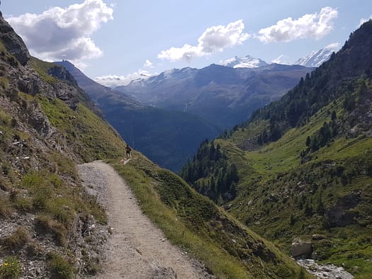 Obergabelhorn 4.063 m Versuch (Hochtour) Rothornhuette 7