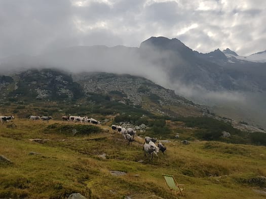 III. Hornspitze / Berliner Spitze 3.254 m (Hochtour) III. Hornspitze Berliner Spitze 3.254 m Hochtour 18