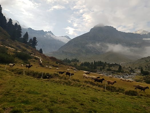 III. Hornspitze / Berliner Spitze 3.254 m (Hochtour) III. Hornspitze Berliner Spitze 3.254 m Hochtour 21