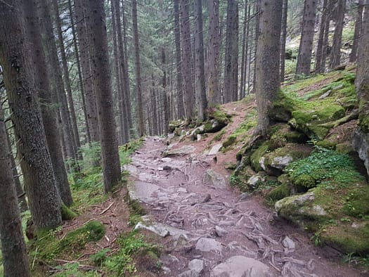 Berliner Hütte - Melkerscharte 2.814 m (Wanderung) Berliner Huette Melkerscharte 2.814 m 3