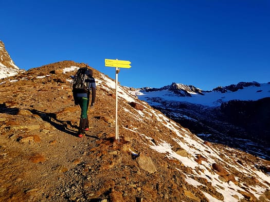Hochvernagtspitze 3.535 m (Hochtour) Hochvernagtspitze 3.535 m Hochtour 16
